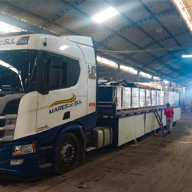 Imagem do post Quais as principais vantagens do transporte de cargas fechadas!